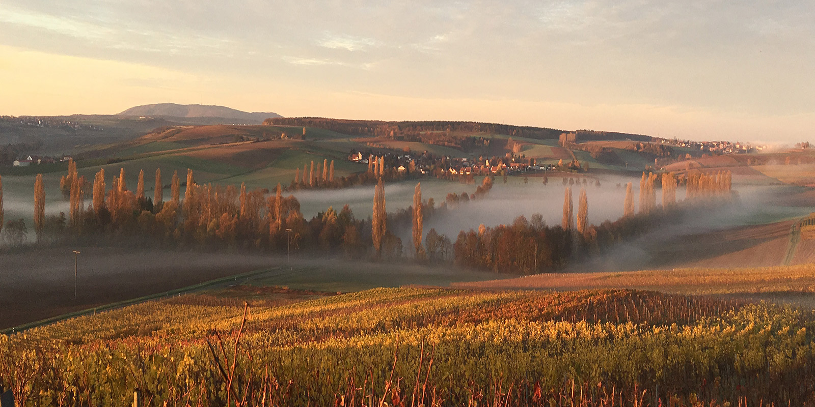 Wir freuen uns auf Ihren Besuch und weisen an dieser Stelle auf eine rechtzeitige Reservierung hin.  Die Campingsaison 2025 hat begonnen. Noch zeigt sich unsere Landschaft etwas trist, aber das wird sich mit ein paar Sonnenstahlen schnell ändern. Wenn Sie uns Ende April bis Anfang Mai besuchen, sprießt an den Rebstöcken das junge Weinlaub und die Landschaft wandelt sich in diesen Monaten von Braun in frisches Grün.